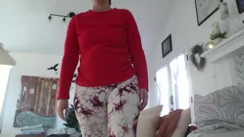 Aurora Willows online show from 01.17.26