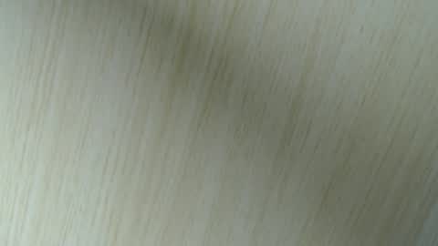 Aurora Willows online show from 04.18.26