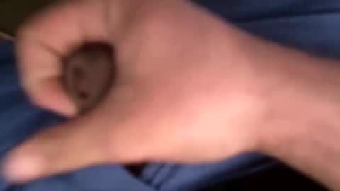 12theose online show from 02.07.26