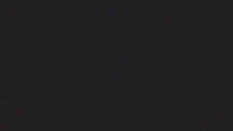 anya online show from 11.17.25