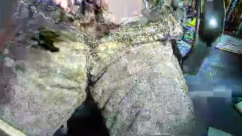 1etabrutahc0 online show from 01.07.26