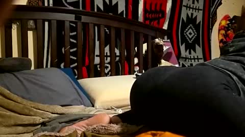 1knightluver69 online show from 04.05.26