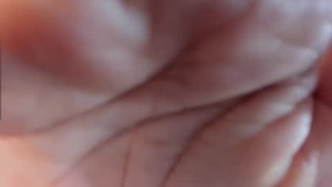 1wayra online show from 11.24.25