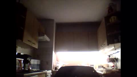 20x5cmgermanlongdong online show from 01.27.25