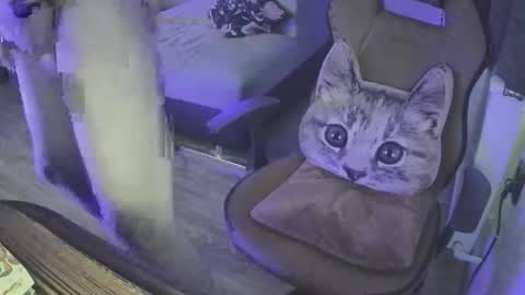 Superborec23 online show from 04.12.26