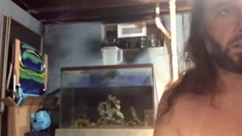 Snapshot of 33adidas chatting on 11.26.25 33adidas online show from 11.26.25