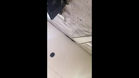 3X NAXAA online show from 03.03.26