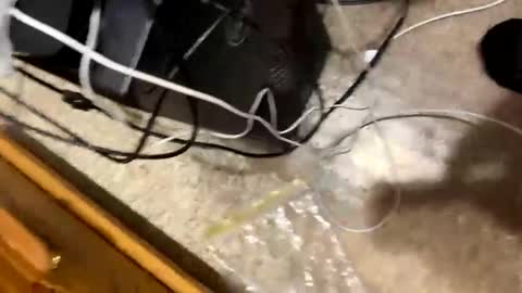 420bbwlover online show from 01.04.25