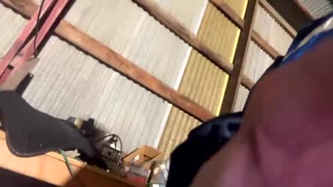 Snapshot of 420danny chatting on 02.24.25 420danny online show from 02.24.25