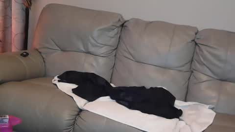 Jane online show from 01.01.25