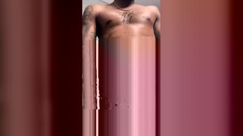 522628bird online show from 02.15.26