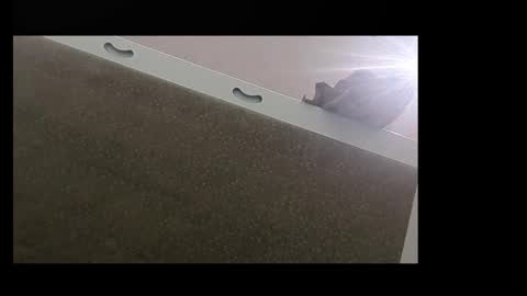 Snapshot of 5minuescum chatting on 11.02.25 RecentBison online show from 11.02.25