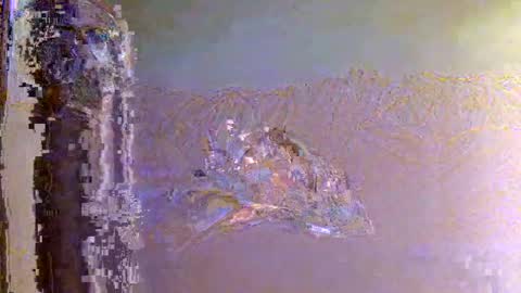 Zeus online show from 11.01.25