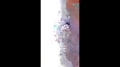 Zeus online show from 04.22.26