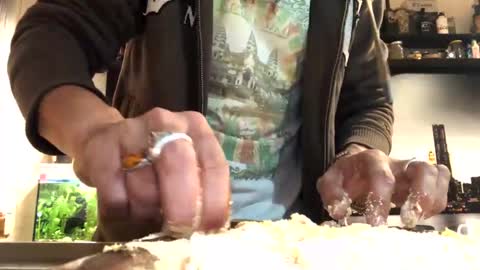 6990fiko online show from 02.01.25