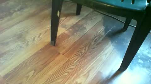 69forever453443 online show from 11.19.25