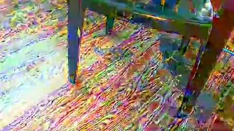 69forever453443 online show from 11.24.25