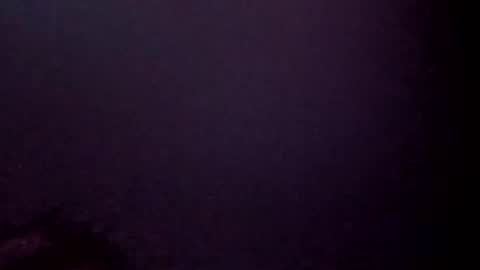 Snapshot of 7025554570b chatting on 11.11.25 7025554570b online show from 11.11.25