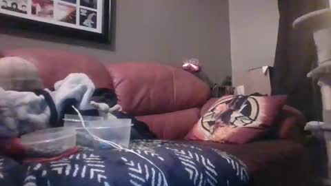 7inchking269 online show from 02.28.26