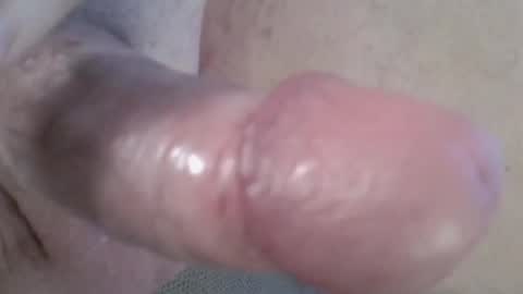 Snapshot of 81_harterschwanz chatting on 01.02.25 Maximilian Max online show from 01.02.25