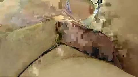 Snapshot of 8385 chatting on 03.03.25 8385 online show from 03.03.25