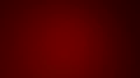 89days online show from 10.22.25