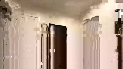 89days online show from 01.19.26