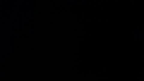 Alexa online show from 11.26.25