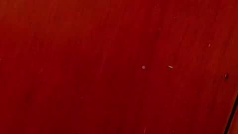 Any online show from 10.04.25