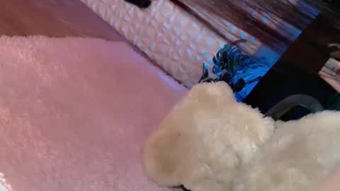 Caroline online show from 03.08.25