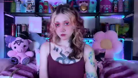 Kate online show from 07.11.26
