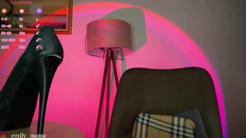 Emily online show from 03.07.25