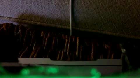 Rex online show from 02.06.26