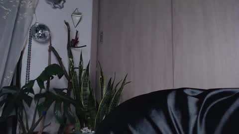 Jenn  online show from 03.27.26