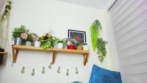 Snapshot of _ivanna11_ chatting on 01.23.25 Ivanna online show from 01.23.25