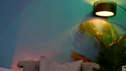 FANSLY ---   anal in private 700 tokens online show from 02.15.25