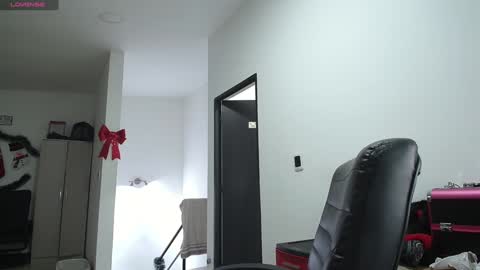 Snapshot of _mr_panda_ chatting on 12.25.24 Panda  online show from 12.25.24