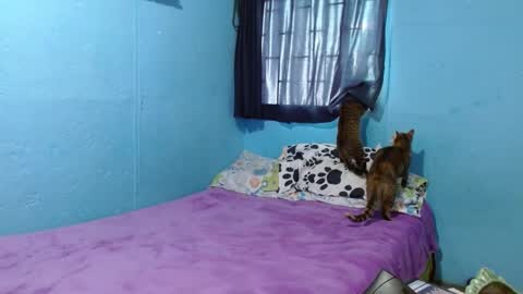 Snapshot of _sammanttha chatting on 02.26.25 Sammy online show from 02.26.25