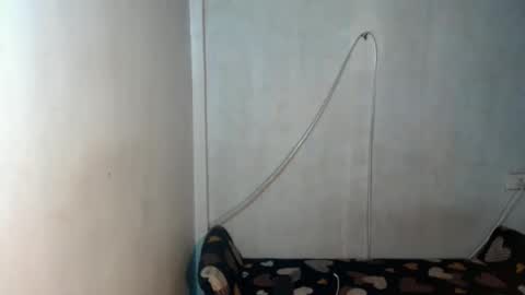 _shanexx online show from 12.15.25