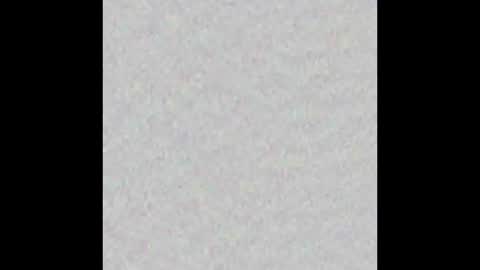 _tammarra_ online show from 10.31.25