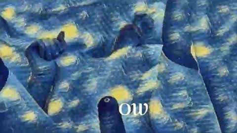 Evi online show from 02.16.25