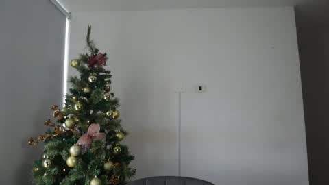 Snapshot of _vahos chatting on 12.30.24 Anastasia Vahos online show from 12.30.24