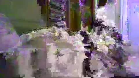 a203530 online show from 01.08.26