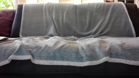 a_nice_dick_77 online show from 02.07.25