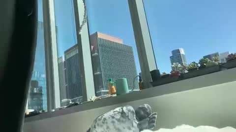 aaron494949 online show from 04.05.26