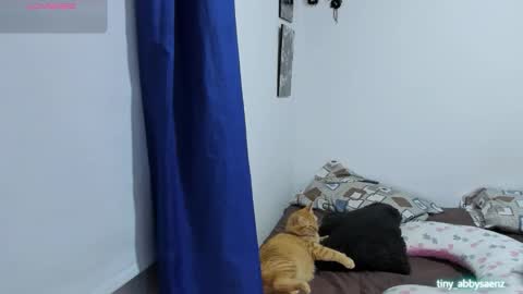 Abby Saenz online show from 10.18.25