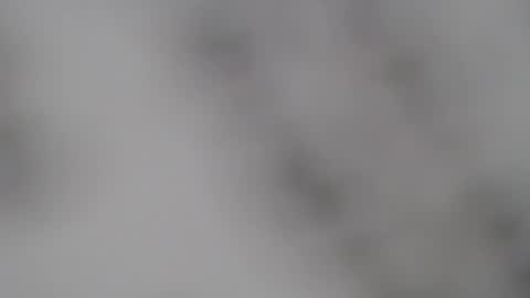 ABBY online show from 02.05.25