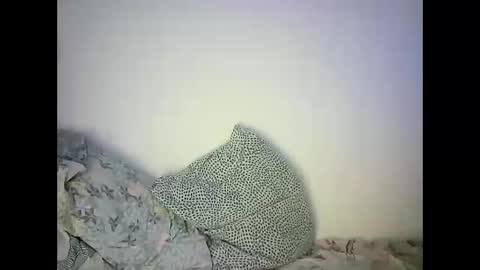 Snapshot of abigailove4u chatting on 02.22.25 GoldenFish online show from 02.22.25