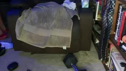 Snapshot of acacias2022 chatting on 02.14.26 aCACiAs2022 online show from 02.14.26