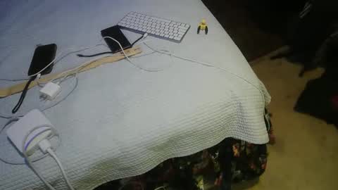 Snapshot of acacias2022 chatting on 03.16.26 aCACiAs2022 online show from 03.16.26